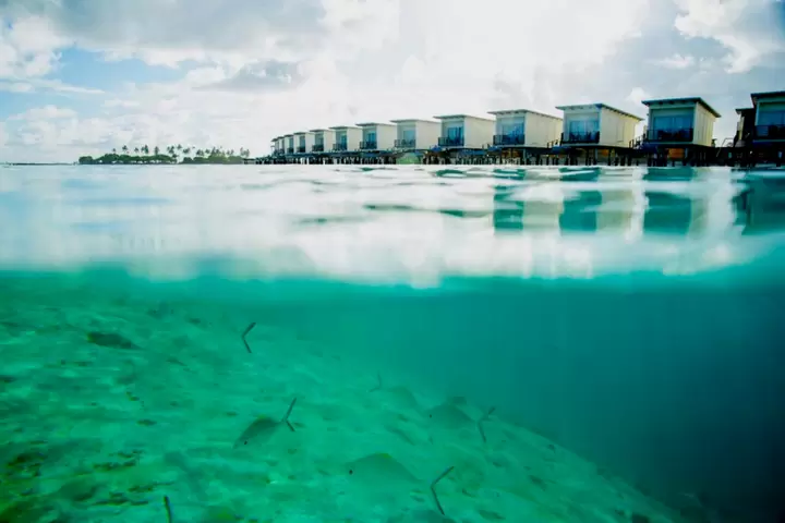 Honeymoon in Maldives